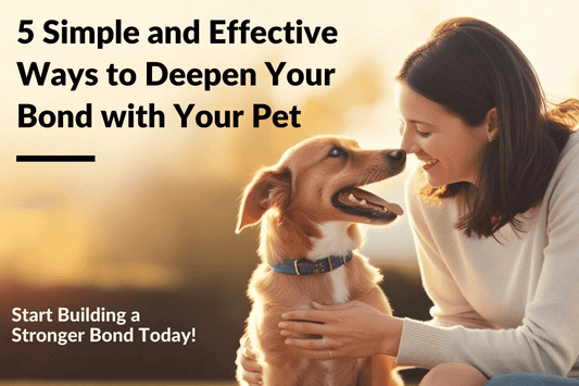 5 Simple and Effective Ways to Deepen Your Bond with Your Pet