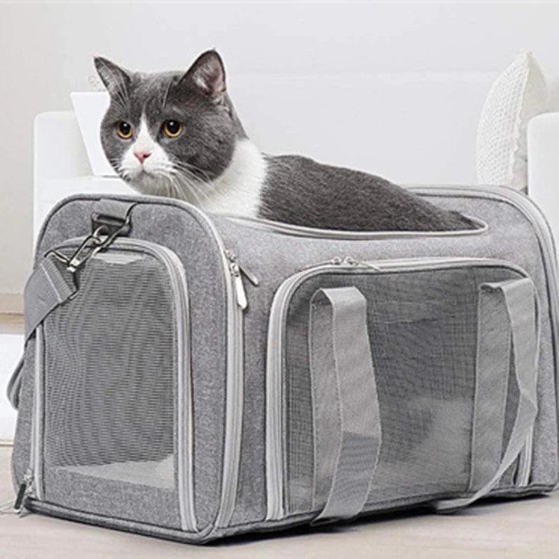 Soft-Sided Pet Carrier Bag