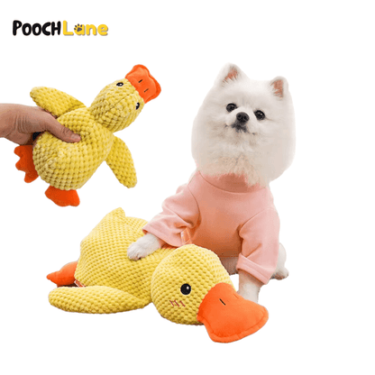 Duck-Shaped Quacking Dog Toy