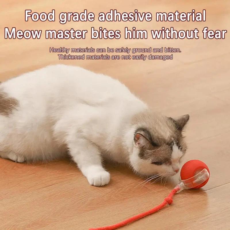 Interactive Smart Rollerball Toy for Cats