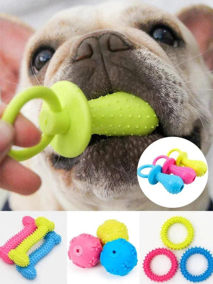 Interactive Dental Chew Toy