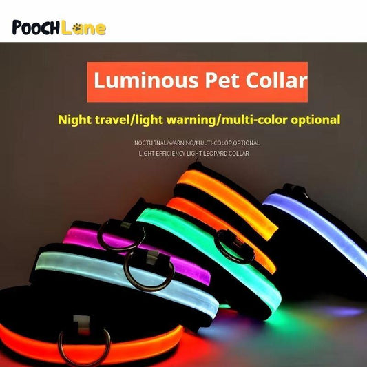 Luminous LED Pet Collar