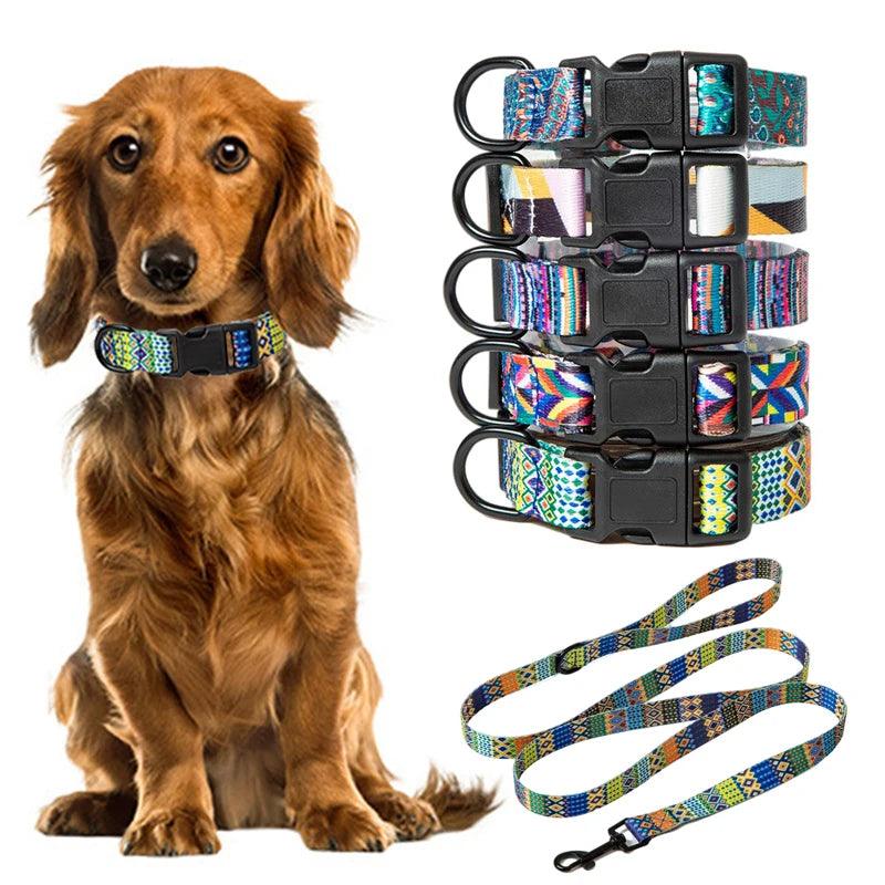 Patterned Dog Collar and Leash Set, Color Available