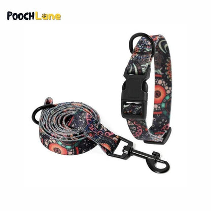 Patterned Dog Collar and Leash Set