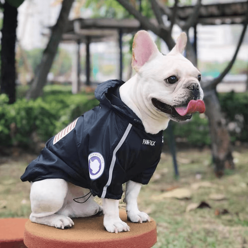 Paw-Tex Waterproof Dog Jacket