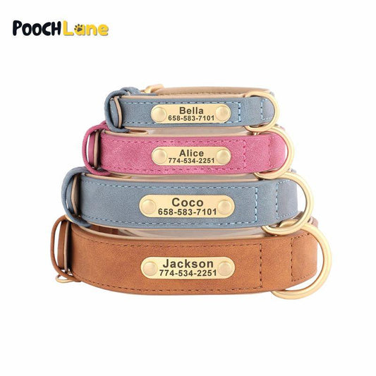 Personalized Leather Dog Collar