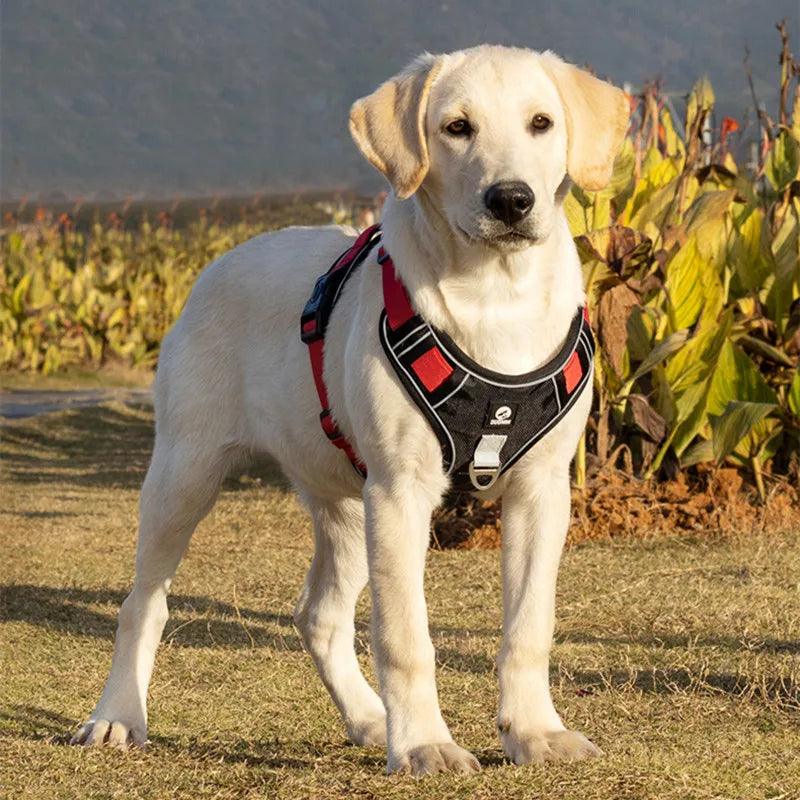  ProGuard Tactical Dog Harness