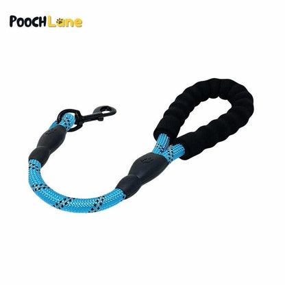 Reflective Control Dog Leash, Skyblue