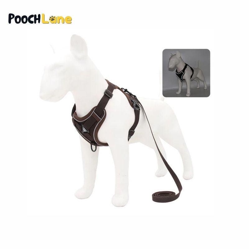 Reflective No-Pull Dog Harness with Leash